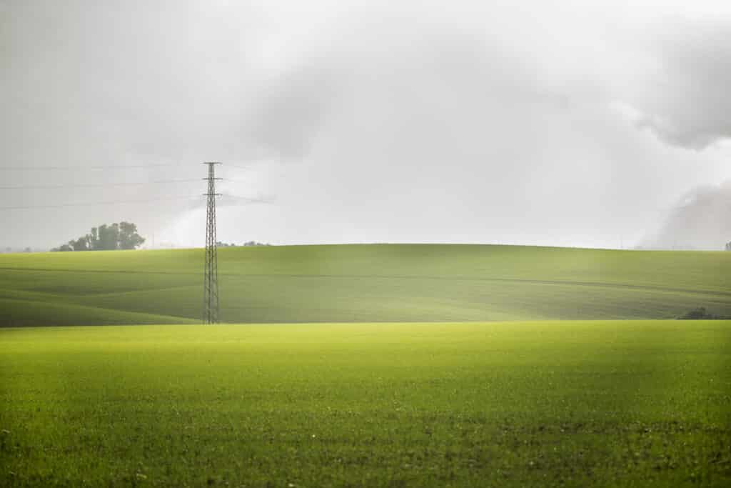 campo_vega_2