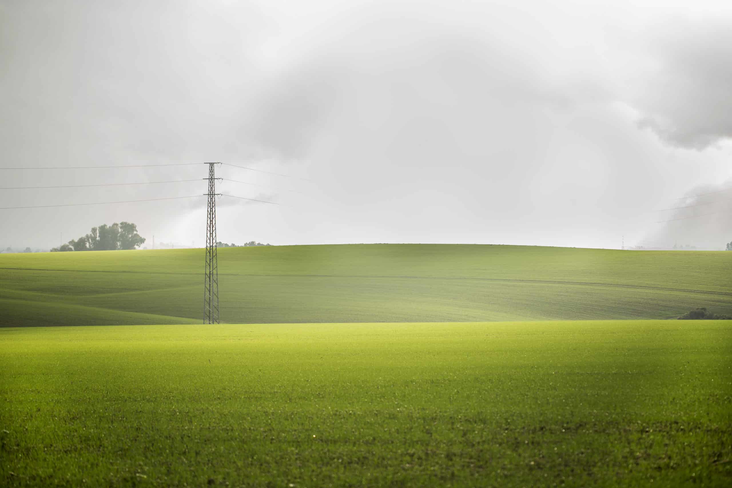 campo_vega_2