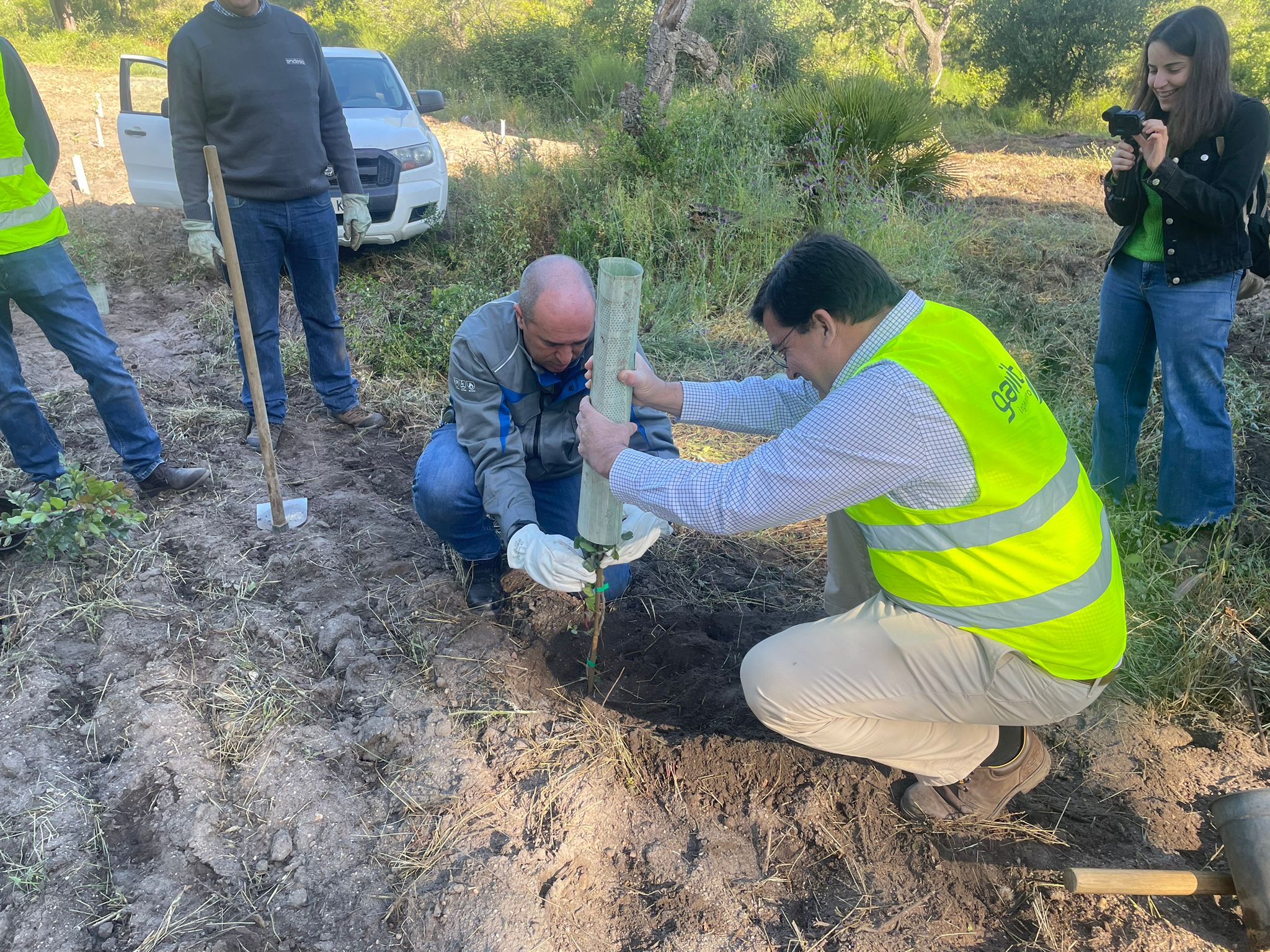 Gabitel y Endesa plantan un centenar de árboles en Lucena del Puerto para reducir su huella de carbono